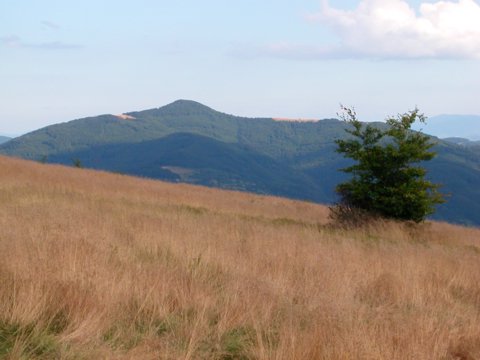 góra Mogielica